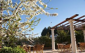 Hotel Patilla Ciudad De Requena